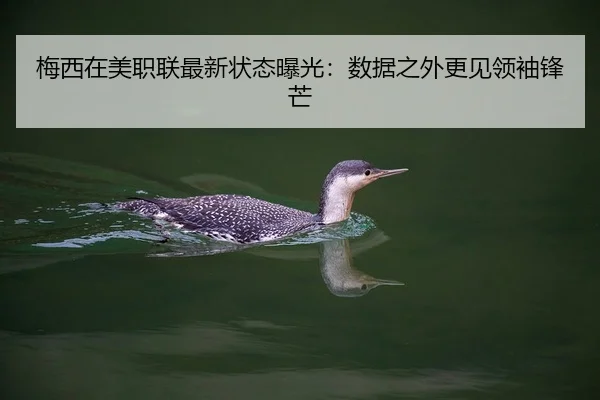 梅西在美职联最新状态曝光：数据之外更见领袖锋芒