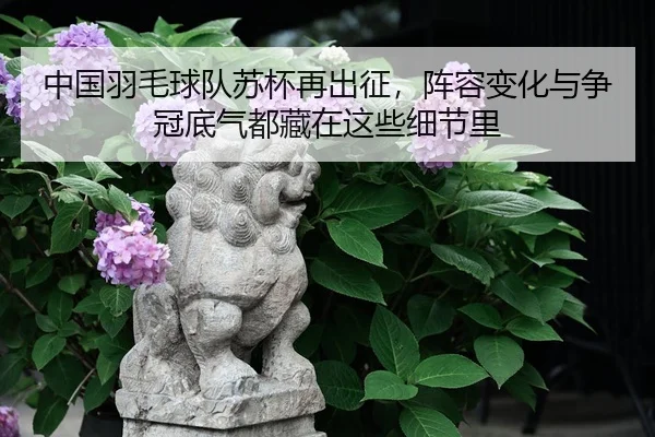 中国羽毛球队苏杯再出征，阵容变化与争冠底气都藏在这些细节里